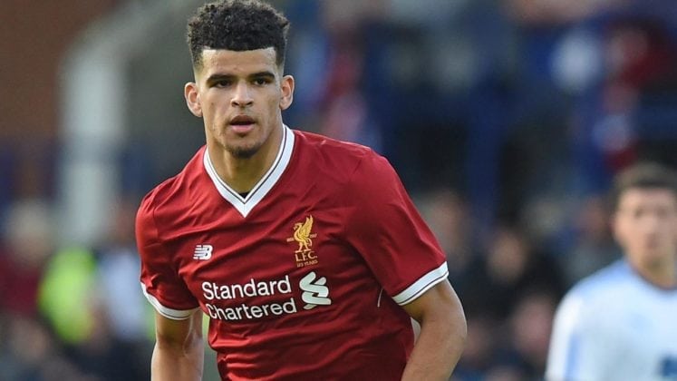 Dominic Solanke Parents, Bio, Height, Weight, Body Measurements 