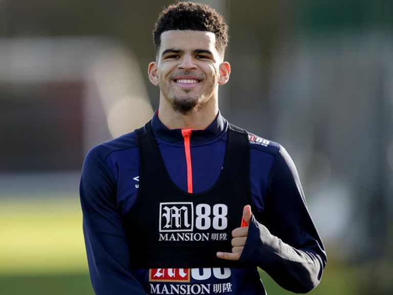 Dominic Solanke Parents, Bio, Height, Weight, Body Measurements